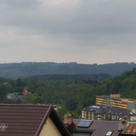 Lesna 26 Lägenhet Kudowa-Zdrój Exteriör bild